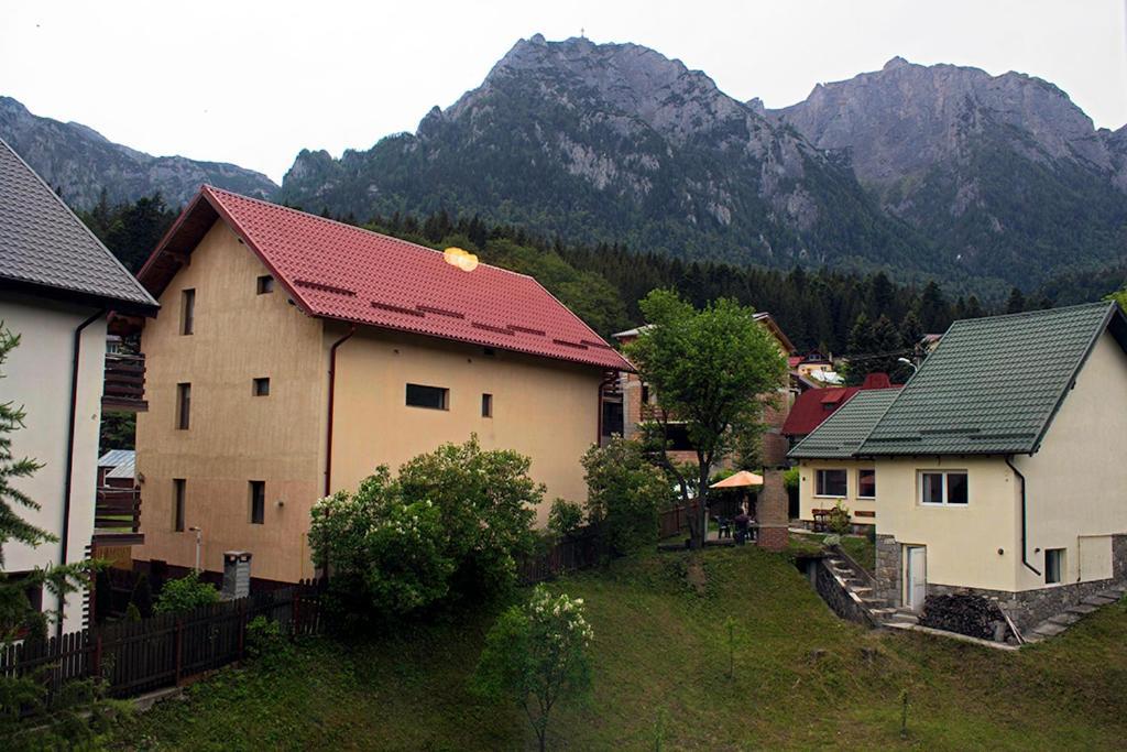 Apartament Mountain Life Buşteni Esterno foto