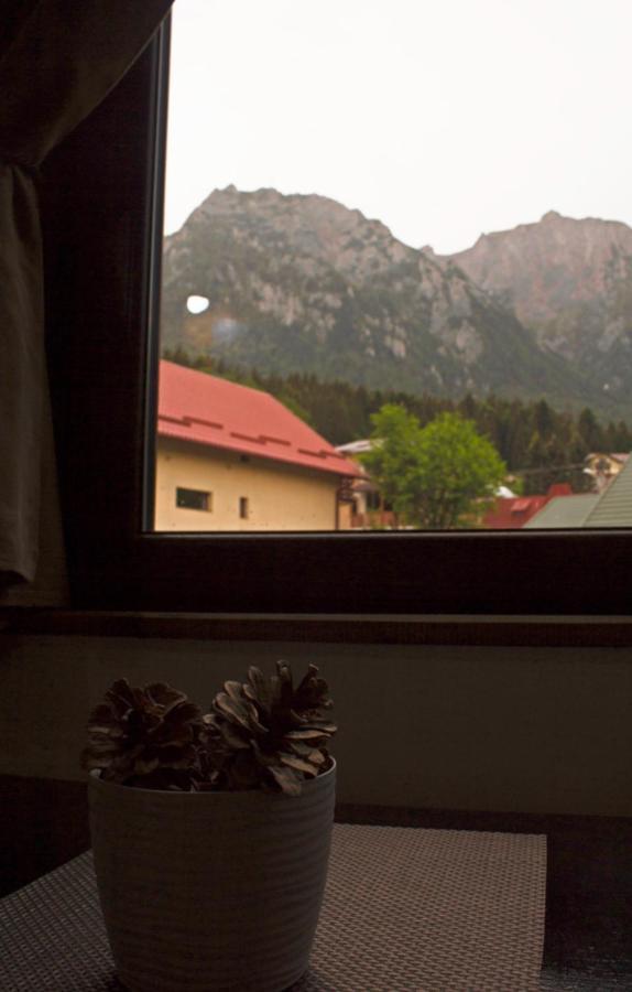 Apartament Mountain Life Buşteni Esterno foto