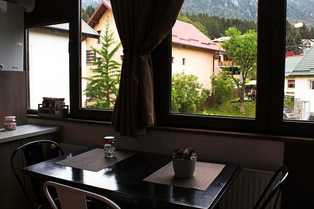 Apartament Mountain Life Buşteni Esterno foto